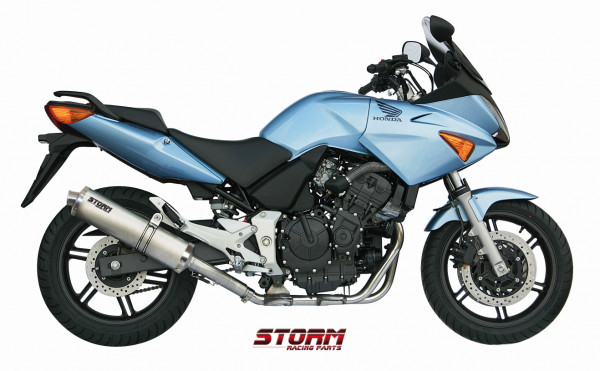 Auspuff Storm Edelstahl oval 400 mm KAT passend für Honda CBF 600 Bj 2004 bis 2010