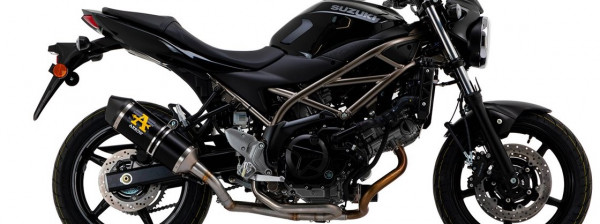 Auspuff Arrow Race Tech mit Carbonendkappe Suzuki SV 650 Bj 2016 bis 2024